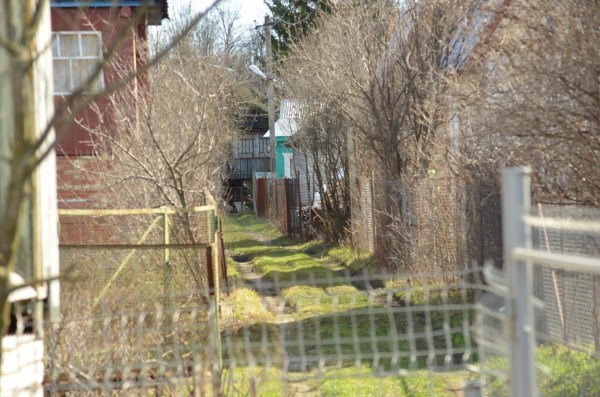 Роспотребнадзор: как следует вести себя в майские праздники для профилактики КОВИД-19