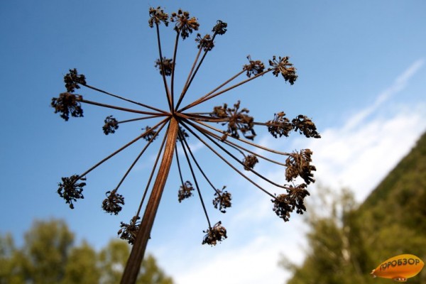 В Башкирии ожидается потепление до +25° 