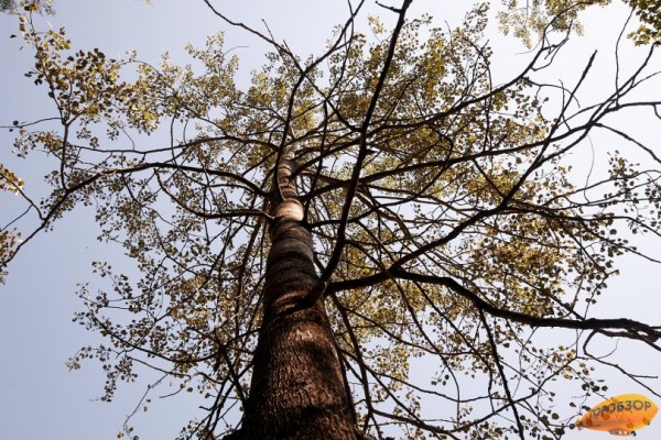 В Башкирии ожидается сильное потепление В Башкирии ожидается сильное потепление