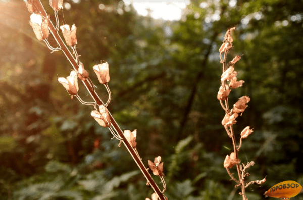 В Башкирии ожидается сильное потепление В Башкирии ожидается сильное потепление