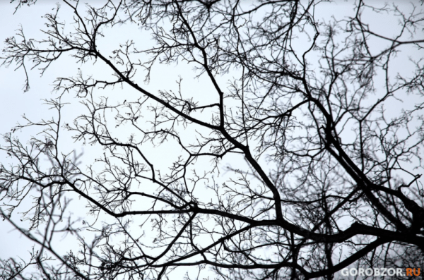 В Башкирии ожидаются мокрый снег и дождь В Башкирии ожидаются мокрый снег и дождь