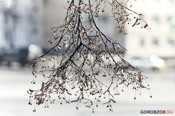 В Башкирии прогнозируют дожди и мокрый снег В Башкирии прогнозируют дожди и мокрый снег