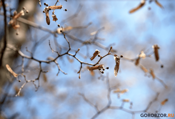 В Башкирии в ближайшие два дня ожидается резкое потепление 