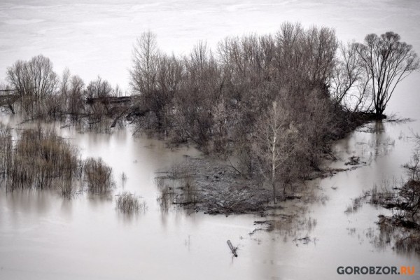 В Башкирию придут дожди и сильный ветер В Башкирию придут дожди и сильный ветер