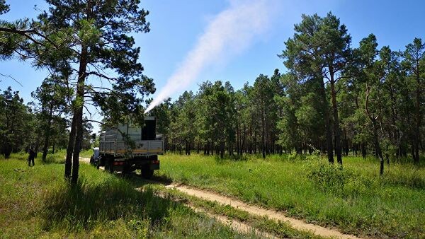 В трех регионах объявили режим ЧС из-за насекомых-вредителей