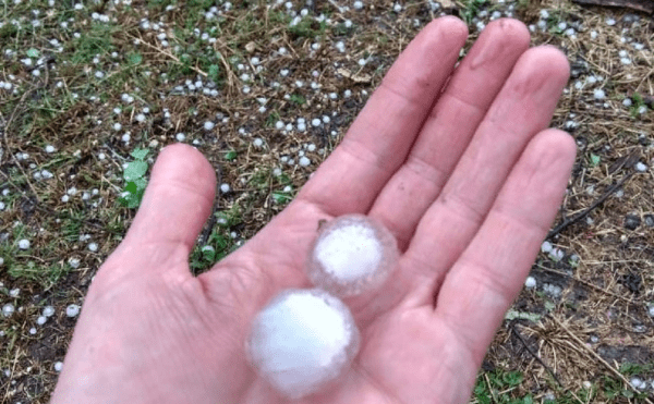 Град побил посевы в Башкирии. В 8 районах вводят режим ЧС