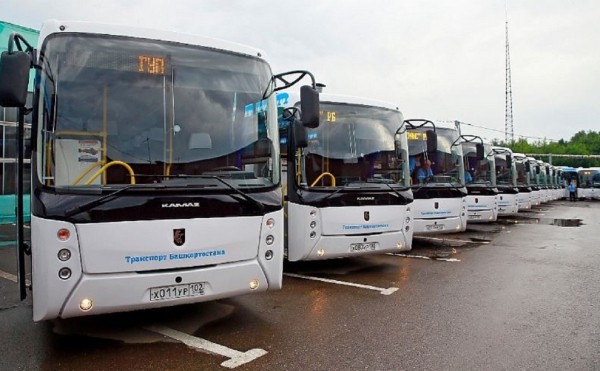 Производитель автобусов в Башкирии получил выручку в 5,55 млрд рублей Производитель автобусов в Башкирии получил выручку в 5,55 млрд рублей