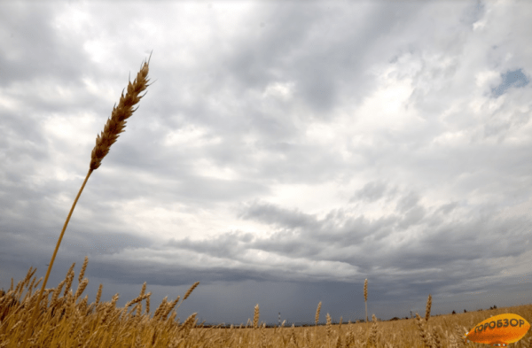 В Башкирии обещают заморозки, порывистый ветер и дожди 