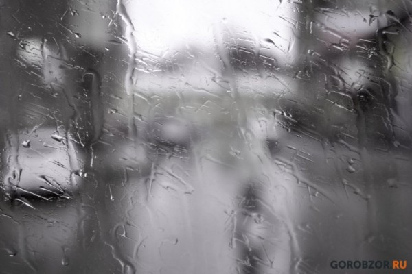 В Башкирии ожидаются дождь и грозы 