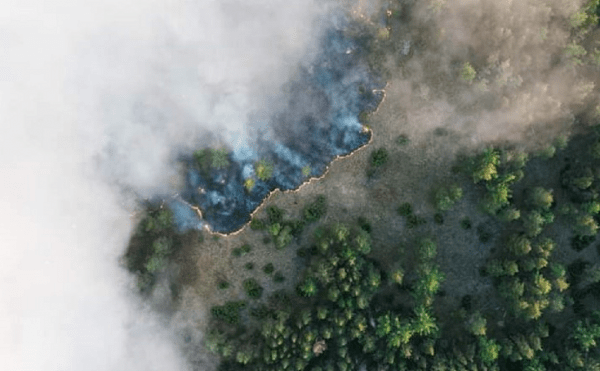 Чаще всего пожары в Башкирии вызывают сухие грозы Чаще всего пожары в Башкирии вызывают сухие грозы