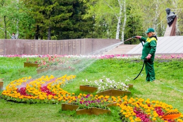 МЧС по РБ: на юге Башкирии сохраняется опасность пожаров из-за жары МЧС по РБ: на юге Башкирии сохраняется опасность пожаров из-за жары