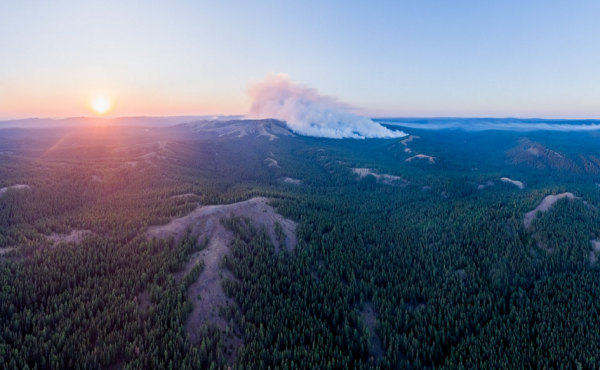Минлесхоз Башкирии может ограничить доступность лесов из-за пожаров