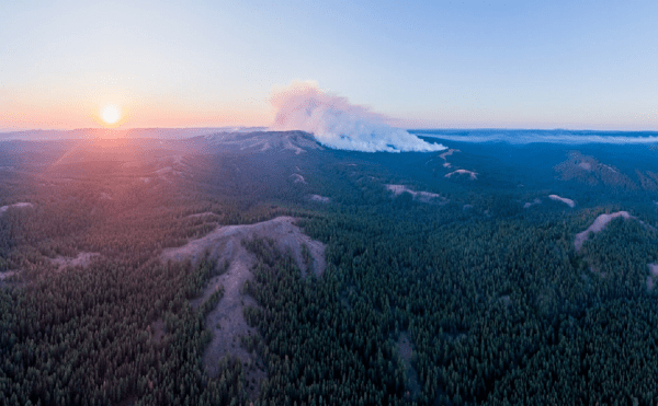 Пожар в уникальном Башкирском заповеднике ликвидирован