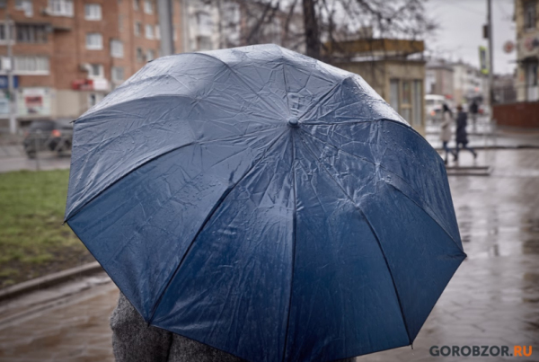 В Башкирии обещают пасмурную погоду и дожди В Башкирии обещают пасмурную погоду и дожди