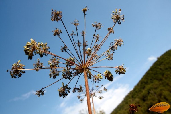 В Башкирии прогнозируется жара и сильный ветер 