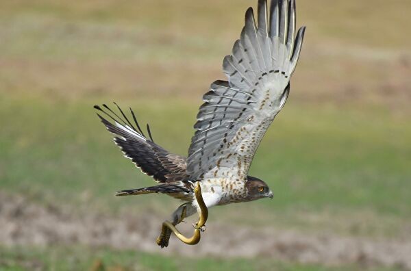 Конюхов напишет этюд. Почему знаменитости отстаивают шиханы в Башкирии