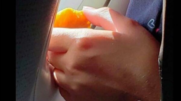 Женщина нашла необычный способ подогреть наггетсы в самолете Женщина нашла необычный способ подогреть наггетсы в самолете