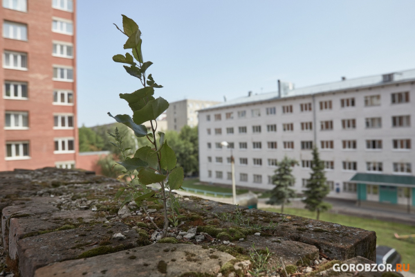 «Дом, в котором»: чем жил кирпичный дом-призрак на Зенцова «Дом, в котором»: чем жил кирпичный дом-призрак на Зенцова