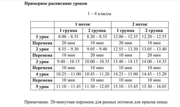 В Башкирии не все классы будут допущены на торжественные линейки в День знаний 