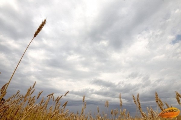 В Башкирии прогнозируется похолодание и дожди  