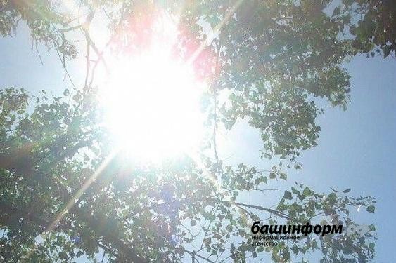 Вернется ли до конца лета в Башкирию жаркая погода - синоптики 