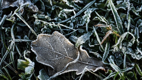 Названы сроки первых серьезных похолоданий в Москве