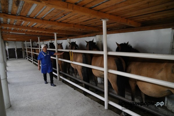 Фермер из Баймакского района планирует открыть цех по выпуску мясных деликатесов из конины