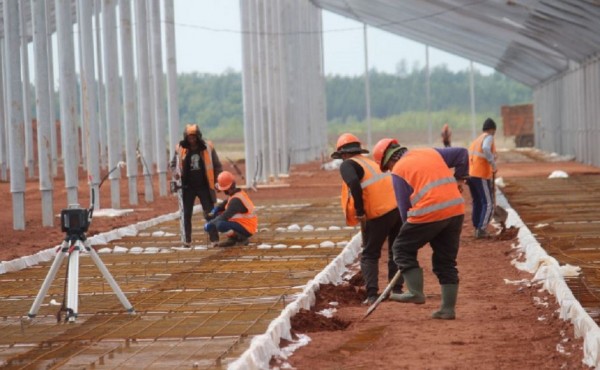 В Башкирии построят фидлот за 147 млн