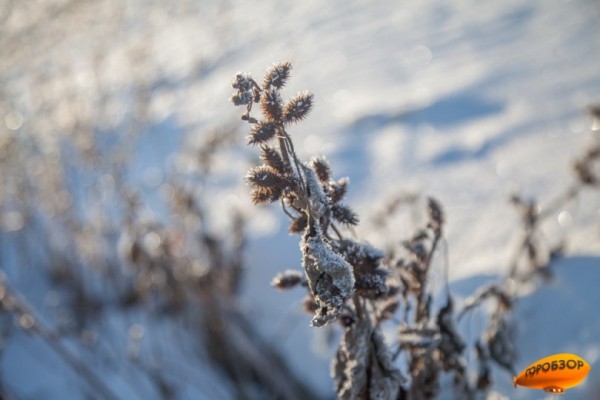 В Башкирии прогнозируют снег и гололедицу 