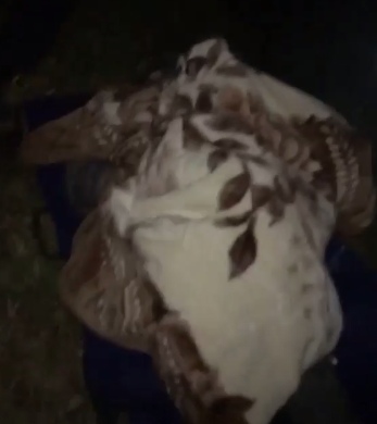 Жителей Уфы испугал мужчина, который волоком тащил тело в лес (ВИДЕО) 