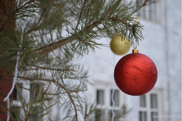 В Башкирии из-за требований социальной дистанции сделают больше новогодних городков