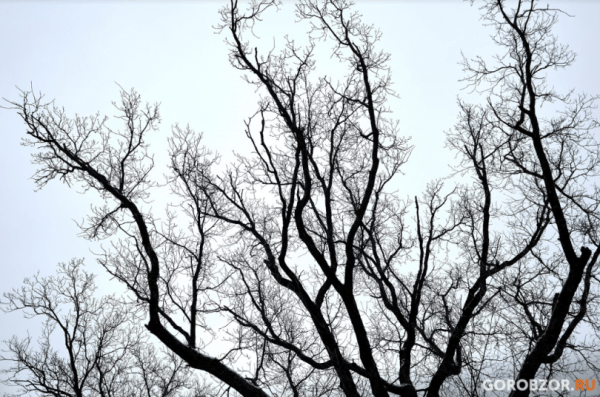 В Башкирии обещают минусовую температуру и снег В Башкирии обещают минусовую температуру и снег