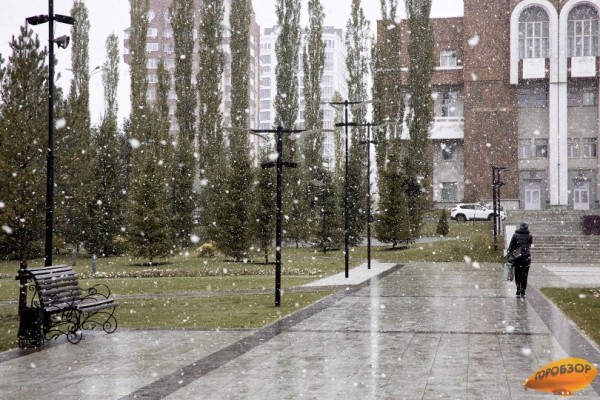 В Башкирии ожидаются снег и ледяной дождь В Башкирии ожидаются снег и ледяной дождь