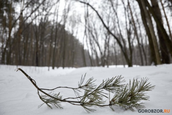 В Башкирии прогнозируется похолодание 