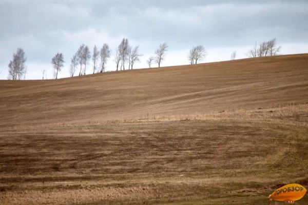 В Башкирии резко ухудшится погода из-за снега и ветра 