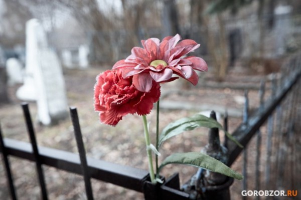 В правительстве Башкирии раскрыли статистику по смертности в 2020 году В правительстве Башкирии раскрыли статистику по смертности в 2020 году