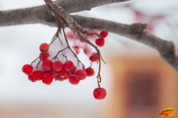 В Башкирии ожидаются морозы до -30 градусов 