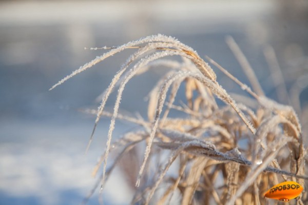 В Башкирии сохранится ясная морозная погода 