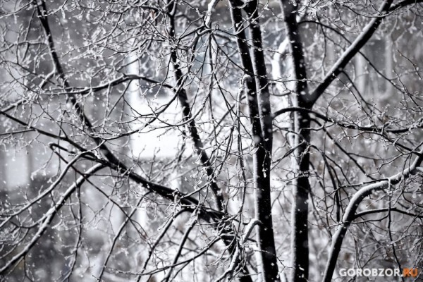 В Башкирии температура воздуха упадет до -27° 