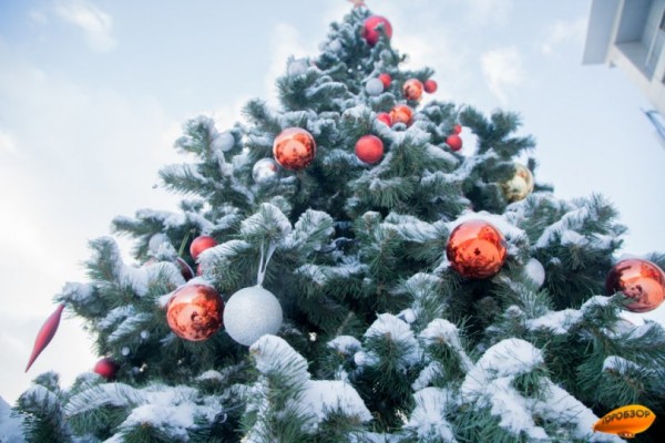 Власти рассказали, как будет праздноваться Новый год в Башкирии 