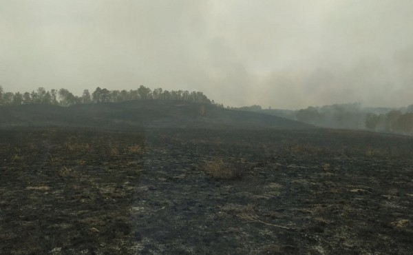 В Башкирии из-за степного пожара эвакуировали детский лагерь