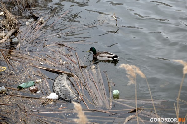 Природа не в почете: как в Уфе разрушаются уникальные места 