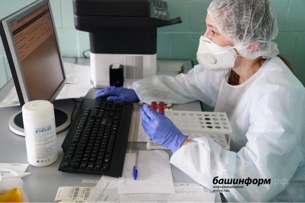 В Башкирии выросло количество COVID-заболевших и госпитализированных