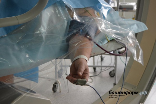 В Башкирии за сутки коронавирус унес жизни 16 человек В Башкирии за сутки коронавирус унес жизни 16 человек